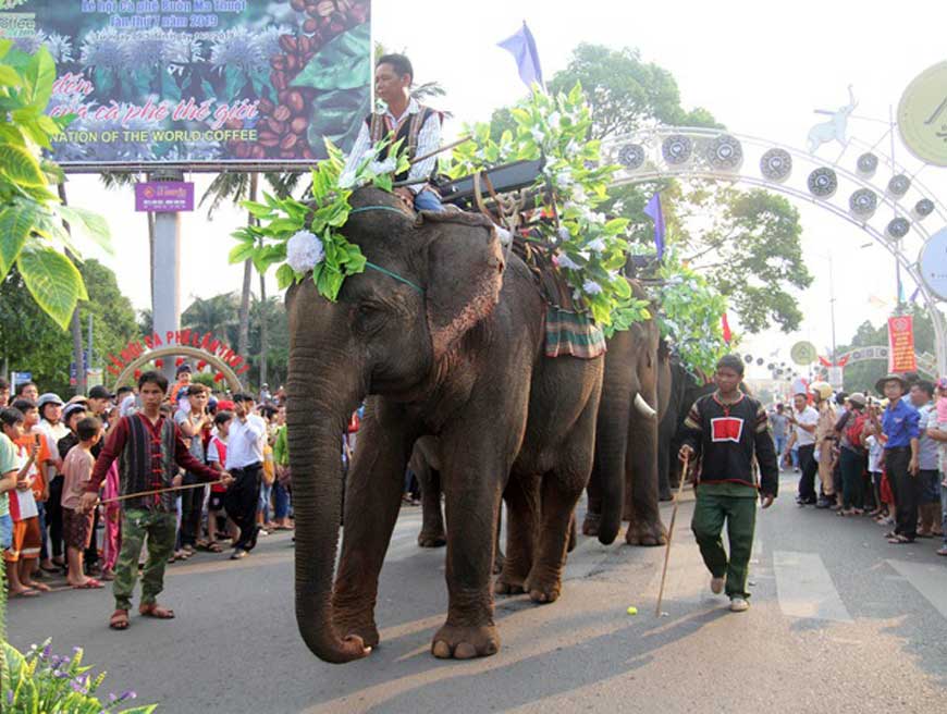 Khởi động tổ chức Lễ hội Cà phê Buôn Ma Thuột lần thứ 8