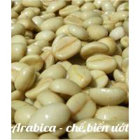 Càfe hạt Arabica chế biến ướt