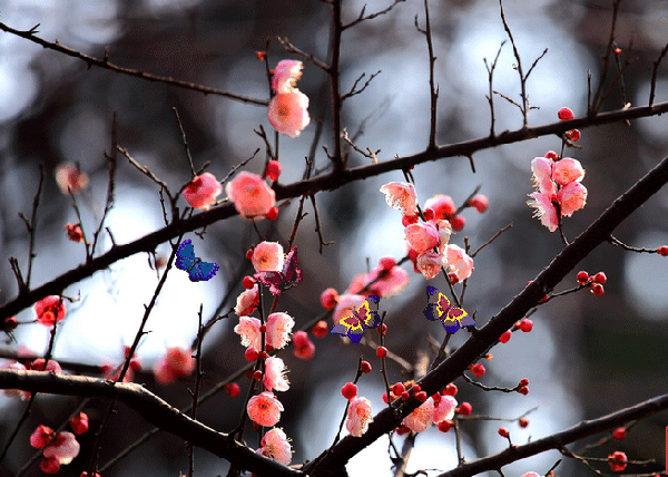 Cuộc đời này, còn sống chính là thắng lợi, kiếm tiền là trò chơi, được trở về nơi tốt đẹp mới là mục đích