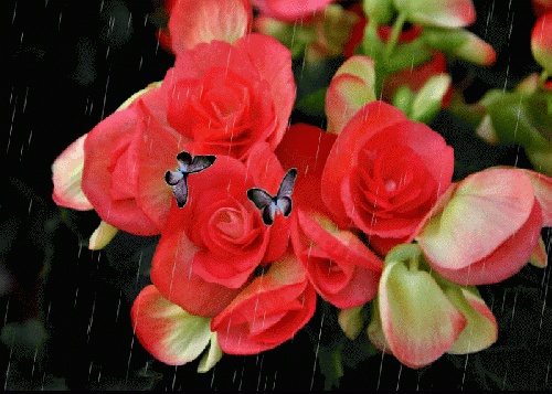 Cuộc đời này, còn sống chính là thắng lợi, kiếm tiền là trò chơi, được trở về nơi tốt đẹp mới là mục đích