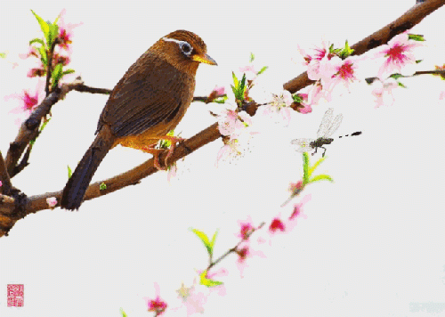 Cuộc đời này, còn sống chính là thắng lợi, kiếm tiền là trò chơi, được trở về nơi tốt đẹp mới là mục đích