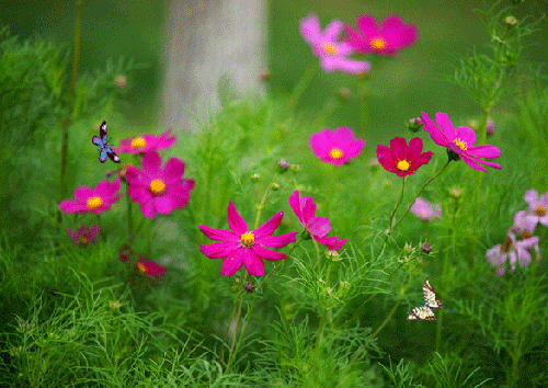 Cuộc đời này, còn sống chính là thắng lợi, kiếm tiền là trò chơi, được trở về nơi tốt đẹp mới là mục đích