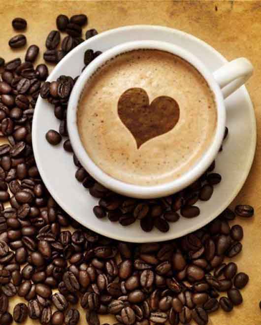 Cafero, robusta, cà phê nhân, cà phê hạt rang mộc, cà phê bột rang xay, cà phê chế biến ướt, cà phê chế biến khô, Phương pháp chế biến Honey, robusta, Robusta Honey, arabica, culi, Cherry, moka, buôn ma thuột, tây nguyên