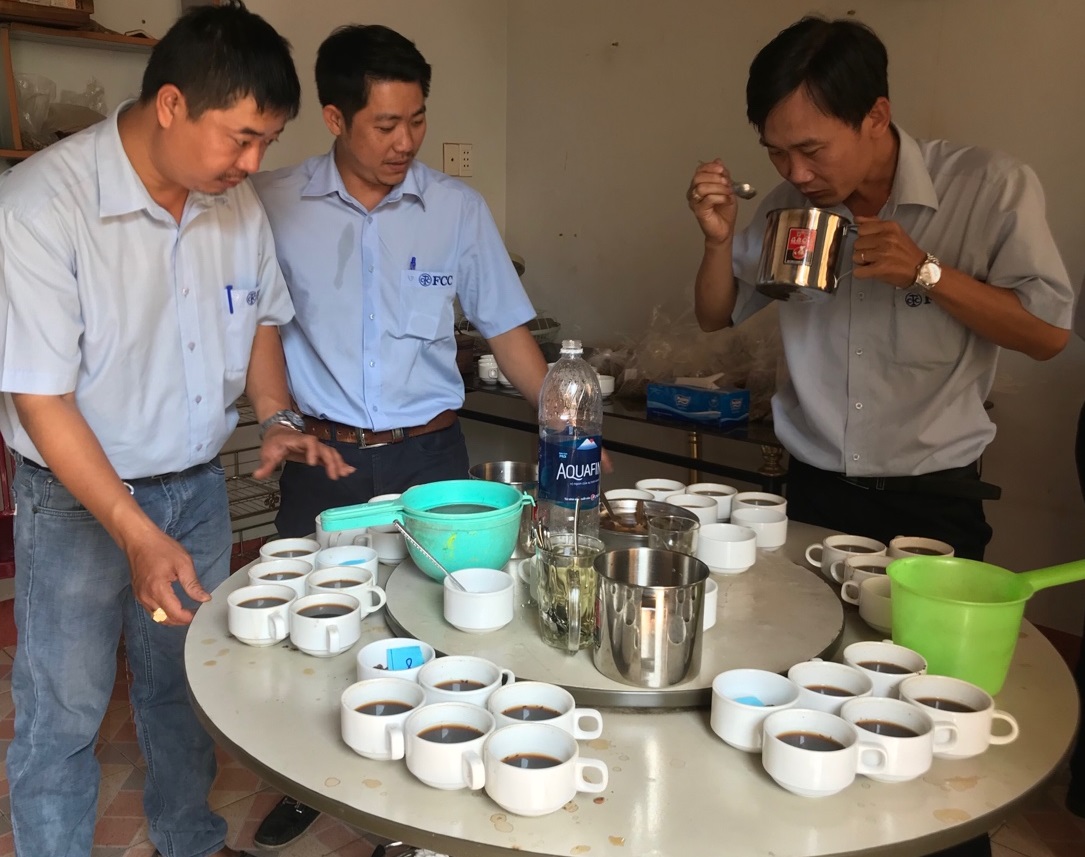 Chuyên gia của Đam San Coffee kiểm tra chất lượng của các loại cà phê