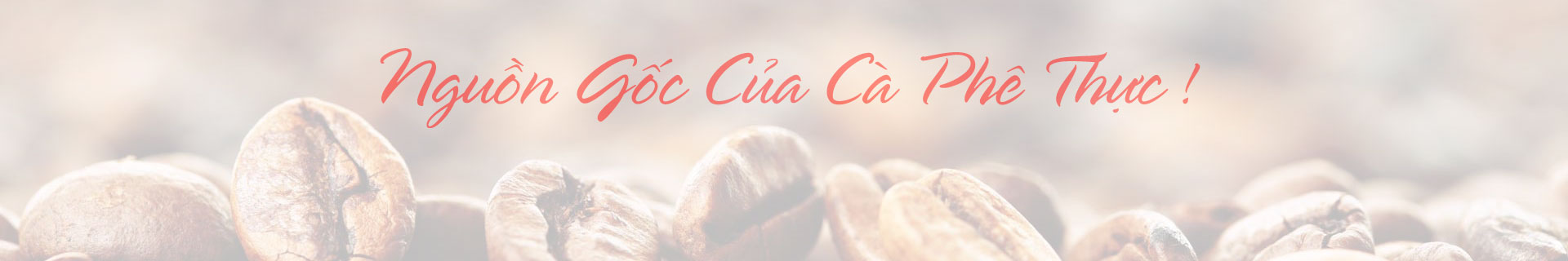 cafero, robusta, arabica, honey, moka, culi